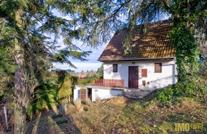 /b_images/thumb_3024145_grocka.jpg