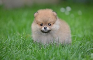 /b_images/thumb_3030335_da1.jpg