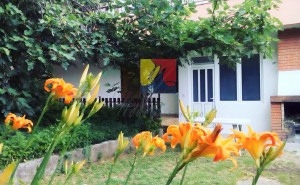/b_images/thumb_3059981_happymontenegro-nedorogie-kvartiri1.jpg