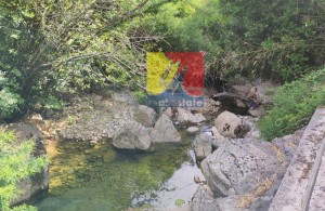 /b_images/thumb_3059981_happymontenegro-nedorogie-kvartiri4.jpg