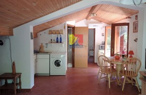 /b_images/thumb_3059981_happymontenegro-nedorogie-kvartiri6.jpg