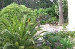 /c_images/thumb_1160211_3_Villa_Gloria_e61b75bb8ab3.jpg