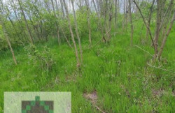 /c_images/thumb_2765755_2_site-8-agency-kvadratobrenovac-img-cexxckw6ze-1-577x768.jpeg