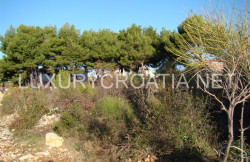 /c_images/thumb_2827969_1_Building-land-for-sale-in-Vodice-Sibenik-2.jpg