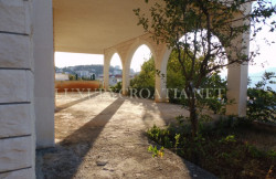 /c_images/thumb_2828299_4_HOUSE-FOR-SALE-WITH-7-APARTMENTS-CIOVO-32-Copy.jpg