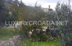 /c_images/thumb_2828306_3_Building-land-for-sale-near-sea-Makarska.jpg