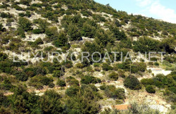 /c_images/thumb_2829847_2_building-land-for-sale-on-south-side-of-Korcula7.resized.jpg
