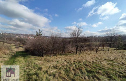 /c_images/thumb_2865558_1_n-image-site-8-agency-kvadratobrenovac-img-3xcz4ii4vo-1.jpeg