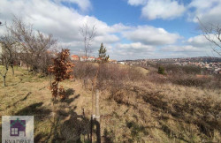 /c_images/thumb_2865558_3_n-image-site-8-agency-kvadratobrenovac-img-e2mphh7tcb-3.jpeg
