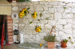 /c_images/thumb_2868679_2_Villa-in-Supetar-Bra-C4-8D-21.jpg
