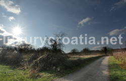 /c_images/thumb_2868729_1_Building-Land-in-Istria-Rabac-Area-3.jpg