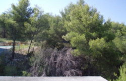 /c_images/thumb_2868746_2_Plot-of-Land-on-the-Island-of-Ciovo-13.jpg