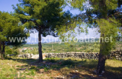 /c_images/thumb_2868756_2_Agricultural-Land-with-a-Panoramic-Sea-View-Milna-Brac-3.jpg