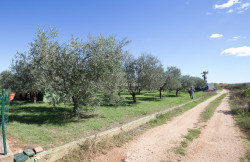 /c_images/thumb_2870209_2_04102022110314_zadar-maslenik-gradjevinsko-2.jpg