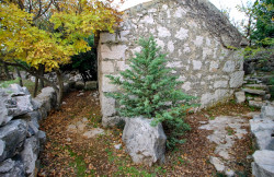 /c_images/thumb_2907923_2_1669901233_dobrinj_okolica_prodaja_stare_kamene_kuce_05.jpg