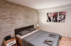 /c_images/thumb_2972809_1_apartmani-beograd-vracar-apartman-ateja.jpg