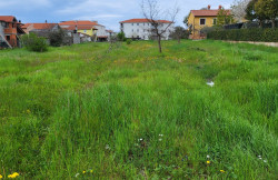 /c_images/thumb_3002745_1_1898469_zemljiste-porec_land_grundstuck_terreno_velvet_1.jpg