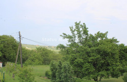 /c_images/thumb_3025669_4_mage-site-8-agency-status-img-aodi3yraow-img-6963-resize.jpg