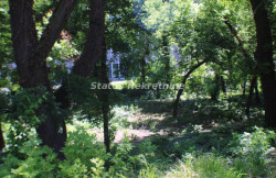 /c_images/thumb_3150470_3_ction-image-site-8-agency-status-img-hx2aunwar0-img-5336.jpg