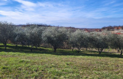 /c_images/thumb_3177664_2__istra_istria_istrien_gradjevinski-teren_building-land_t.jpg