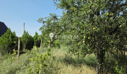 /c_images/thumb_3179715_2_lokali-prodaja-IdtcicOdr9.jpg
