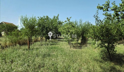 /c_images/thumb_3179715_4_prodaja-nekretnina-beograd-1he1CmVjvW.jpg