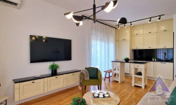 /c_images/thumb_3189067_1_room-apartment-for-sale-budva-montenegro-adriastone.com_.jpg