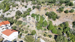 /c_images/thumb_3195183_4_1706207027_dji_20240125131516_0023_d.jpg