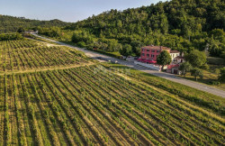 /c_images/thumb_3206935_2_1674045172_vino-istria.jpg