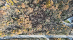 /c_images/thumb_3207250_1_1669975620_dji_0164.jpeg