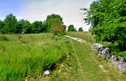 /c_images/thumb_3213331_4_1727511994_croatia-istria-real-estate-for-sale-225.jpg