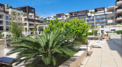 /c_images/thumb_3234240_3_porto-montenegro-aqua-19.jpg