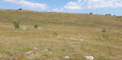 /c_images/thumb_3241406_2_1481.jpg_pogled-s-magistrale.pogled-prema-sjeveru-scaled.jpg