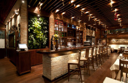/c_images/thumb_3245398_3_Volare-restaurant-Plasma-Medellin-Colombia.jpg