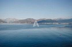 /c_images/thumb_3249043_2_f7182ec0-1886-418d-b63d-985666c87583.jpeg