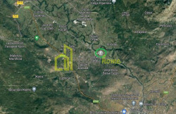 /c_images/thumb_3254696_2_1685443014-grbe-20danilovgrad-202.jpg
