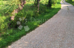 /c_images/thumb_3302499_3_messenger_creation_a4044120-c7af-4816-9958-8869f4ed9349.jpeg