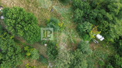 /c_images/thumb_3303332_2_1717068418_dji_0136.jpg