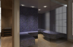 /c_images/thumb_3310493_3_-site-8-agency-bokarealty-img-fer8tvk3gt-render-wellnes1.jpg