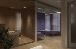 /c_images/thumb_3310496_4_site-8-agency-bokarealty-img-bc8q8uj3kr-render-wellnes-3.jpg
