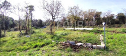 /c_images/thumb_3312734_1_1718196762_istra-6.jpg