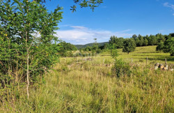/c_images/thumb_3314887_3_1719612913_croatia-istria-real-estate-for-sale-141.jpg