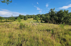 /c_images/thumb_3314887_4_1719580598_istra-gradevinsko-zemljiste-prodaja-7.jpg