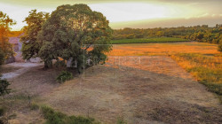 /c_images/thumb_3326628_2_719656517_porec-area-building-plot-in-a-quiet-location-2.jpg