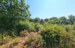 /c_images/thumb_3333926_4_nto_prodaja_gradevinskog_zemljista_s_pogledom_na_more_05.jpg