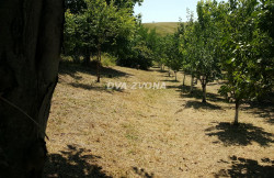 /c_images/thumb_3336316_3_hp-action-image-site-8-agency-dvazvona-img-kjswwkrs6q-13.jpg