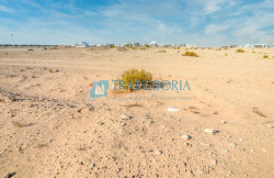 /c_images/thumb_3346548_3_f0eb985d6de54b4eadbb44a372388769844422c6.jpg