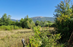 /c_images/thumb_3351330_1_gradevinsko-zemljiste-na-odlicnoj-mikrolokaciji-pogled-3.jpg