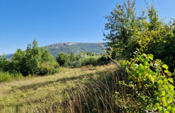 /c_images/thumb_3351330_2_gradevinsko-zemljiste-na-odlicnoj-mikrolokaciji-pogled-4.jpg