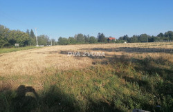 /c_images/thumb_3354577_2_ite-8-agency-dvazvona-img-e646ps6550-img-20240808-070506.jpg